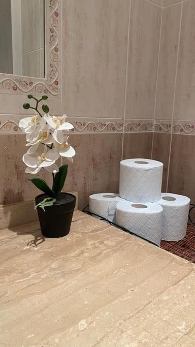 فيلا The Mare House إيّين المظهر الخارجي الصورة